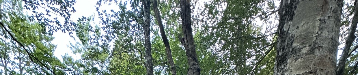 groot