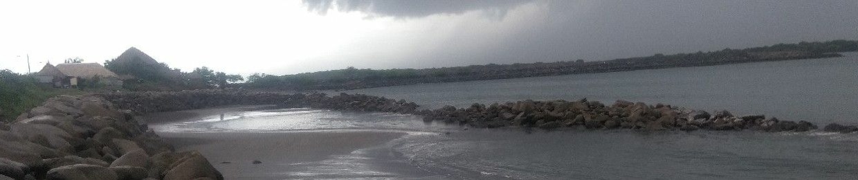 Cris. Arnolds_🇳🇮