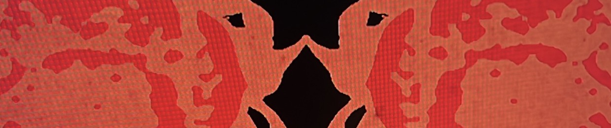 flimsier