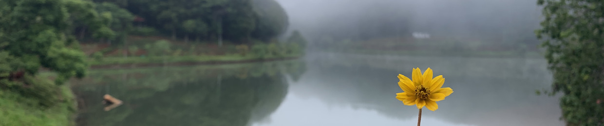 Ở đây cùng Quìn