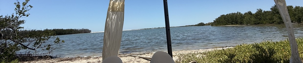 Chilla Tokage トカゲ