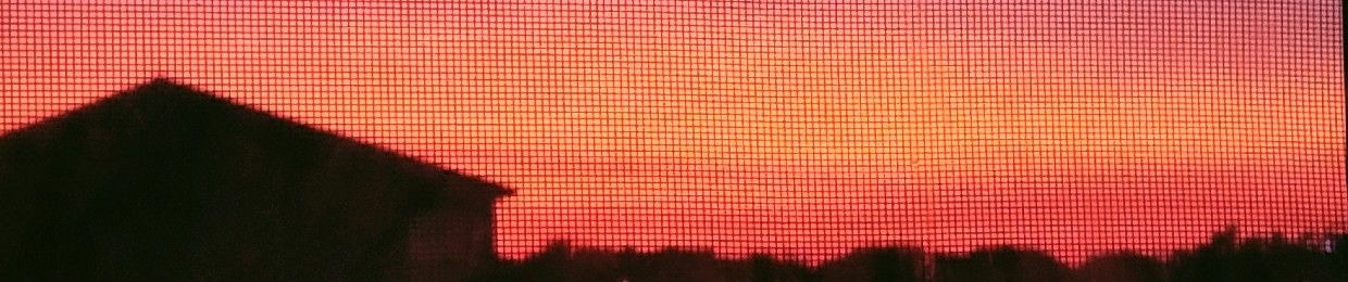 novalexxa