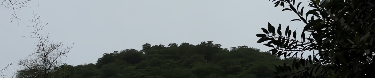 _7tll