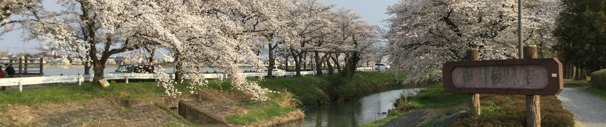 The Hazy Stems -靄の叢-