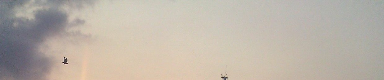 SUNset 🌇