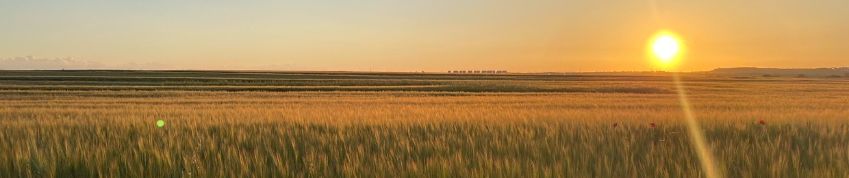 Juan-Carlos Serrano Agún