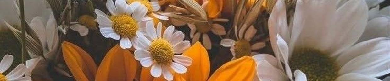 Somaya Mohamed Qasim