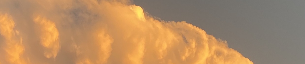 𝓑⁷