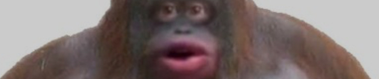D-Money