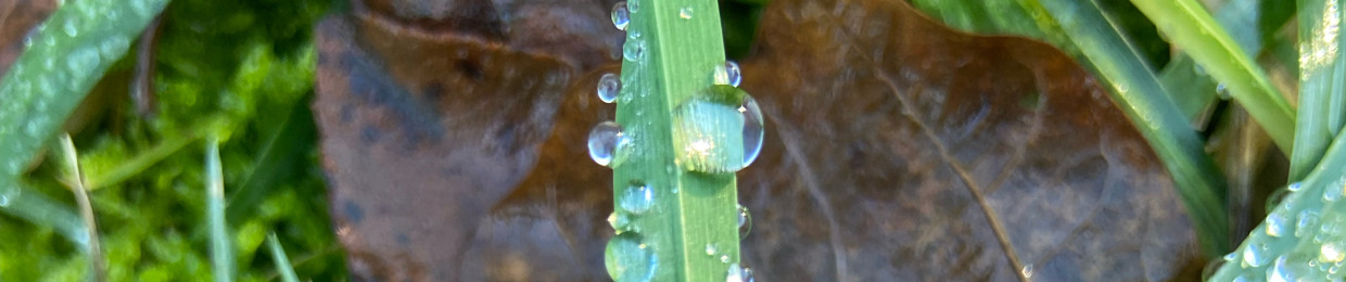 ⛲️