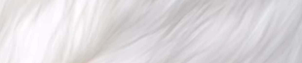 P̳$̳B̳