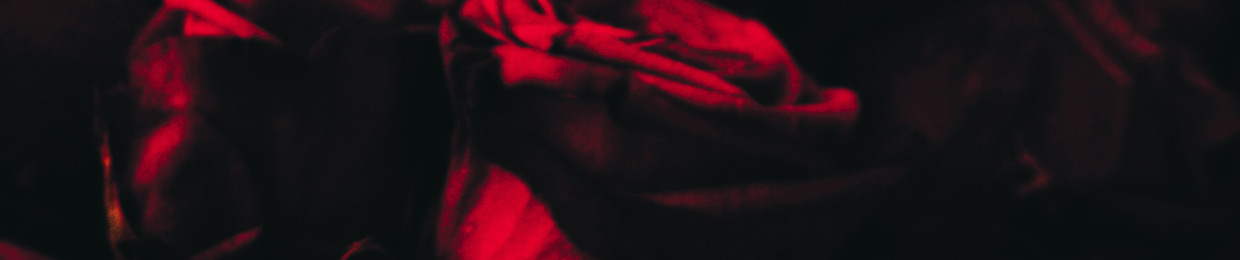 LoganB