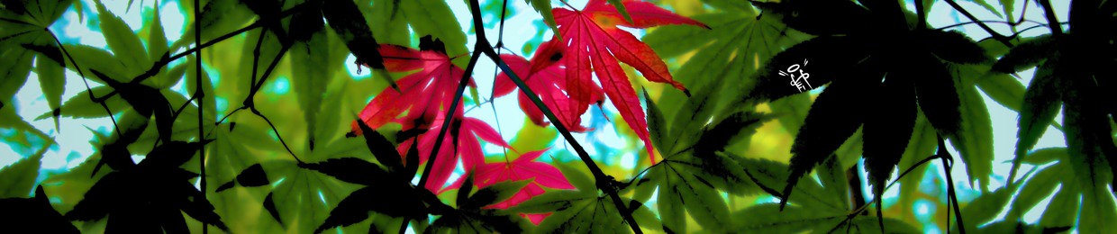 水 -Sui-