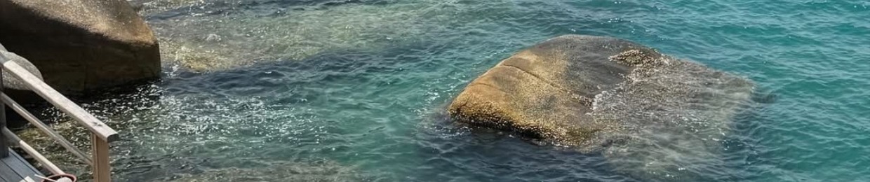 Phạm Ngọc Yến Nhi