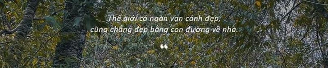 Bùi Thị Minh Chi