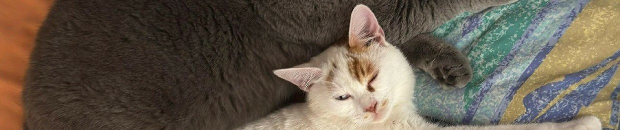 コライ・アタ  (Koray Ata)