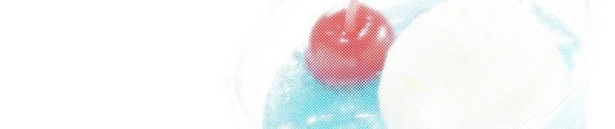ㅤֺ   𓏸̵      🥡      kilv𝑒ྀི     ׄ  ᩡ  ׅ