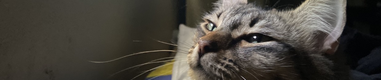 cielo
