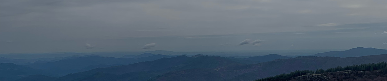 Modjo