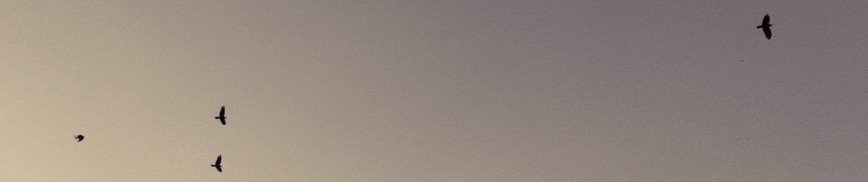 SoundCloud banner for @hila