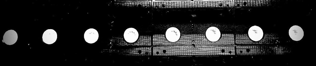 Noidnoise