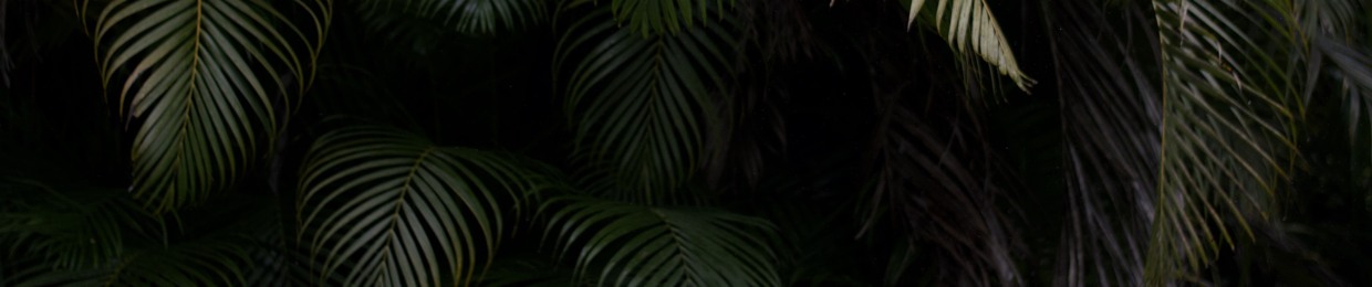 V☽
