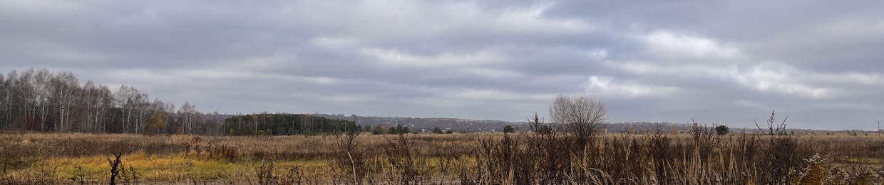 severe pain in my little head