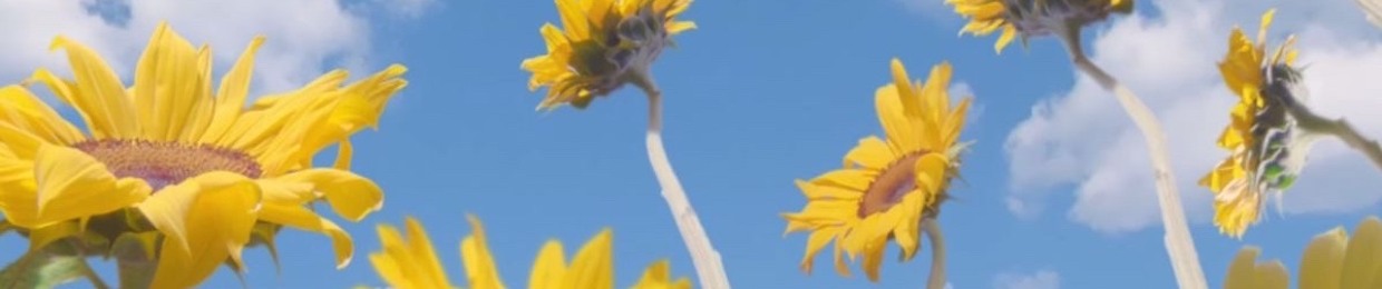 💐