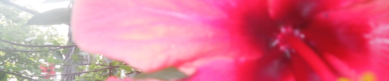 Angel BELOVE