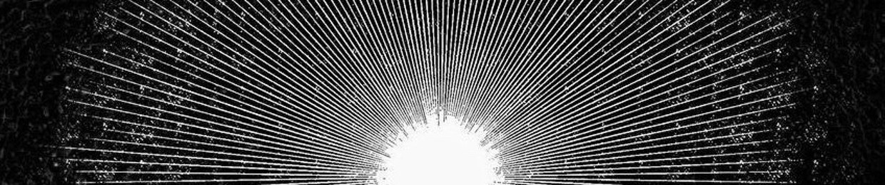 Orionpolarity
