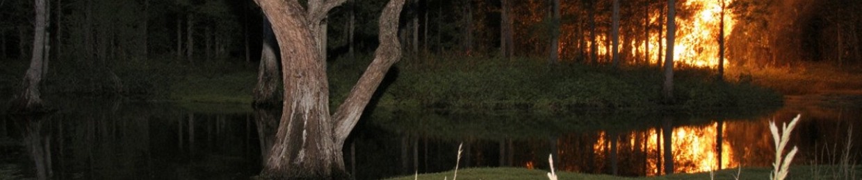 ayoslides (@ayoslides)