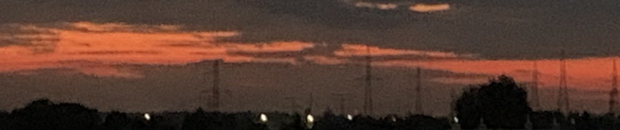 F a l l e n L e a v e s 2 0 1 3