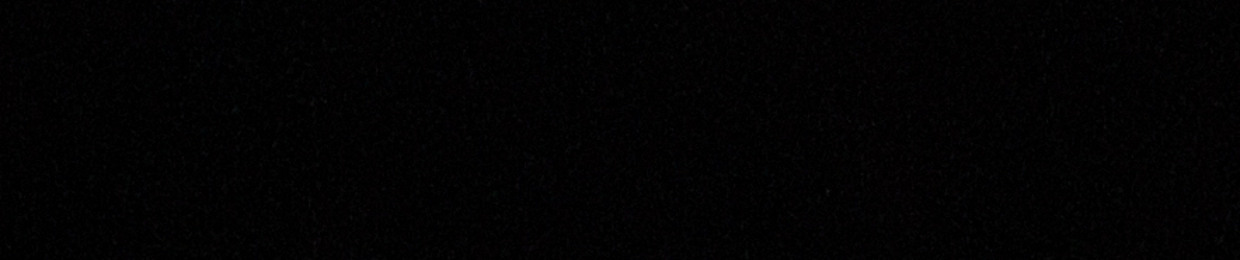santxnastar
