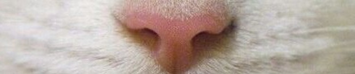 natalie 🧟‍♀️