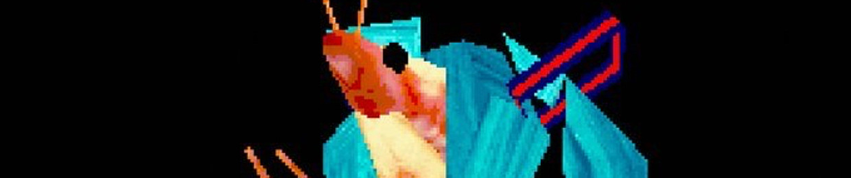 ⟡ ݁₊ . NOLI . ₊ ݁⟡