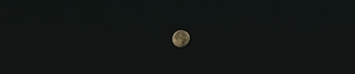 𝐆𝐫𝐚𝐜𝐞𝐲 <3