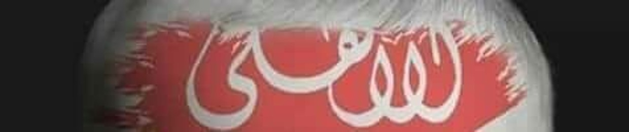 Amr Sayed