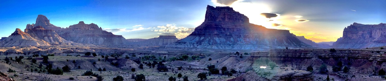 Desert Dweller
