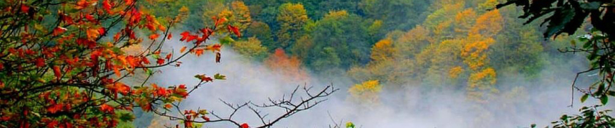 Hossein Shahidi