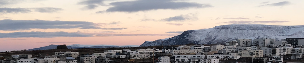 BIRKIR