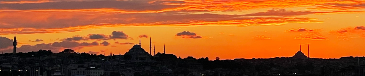 محب