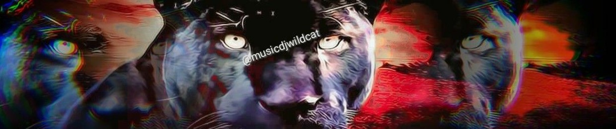 Music Dj Wildcat