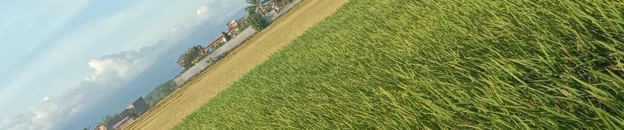 'MIS:aris"007…pajana/IYYA;taaa@