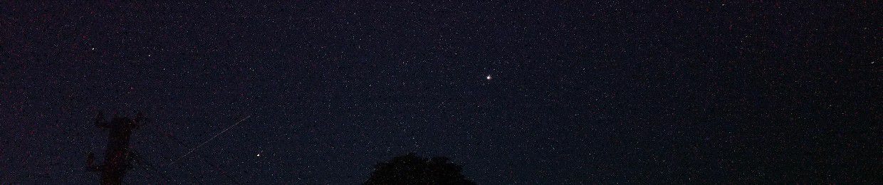 𝒀𝑨𝑺𝑵𝒀𝒀