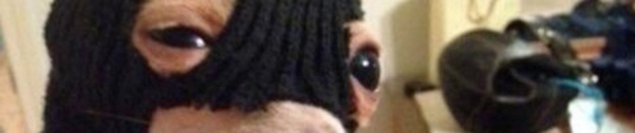 Noelnvb