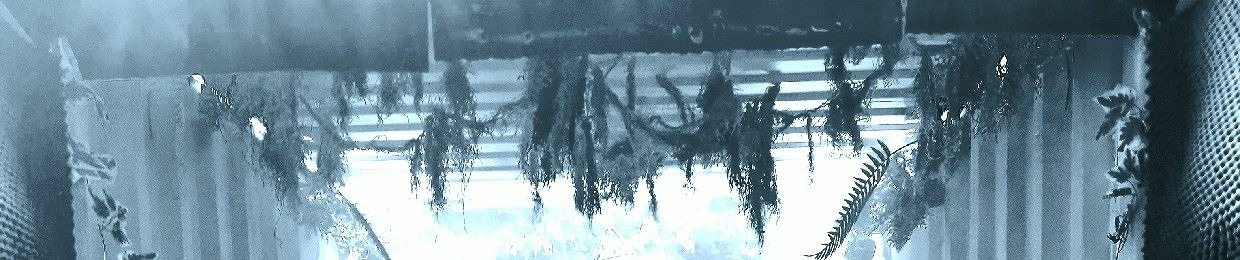 𝙶𝚁𝙸𝙼𝙱𝙰𝚁𝚃 𝙶𝚁𝙾𝙶𝙶𝚈