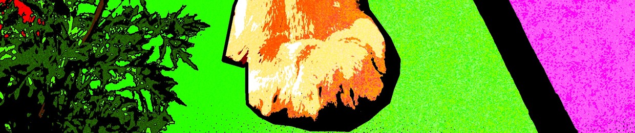 Stream zxxc! music | Listen to songs, albums, playlists for free