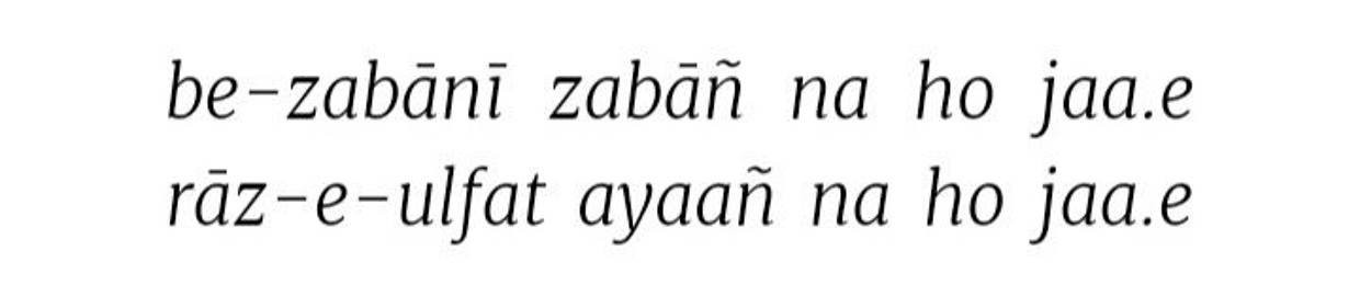 Syed Shayan Zaidi