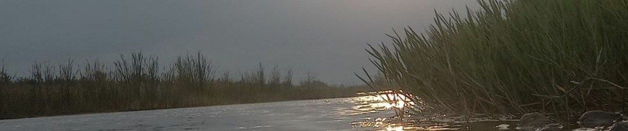 mohammadrezahossinpoor