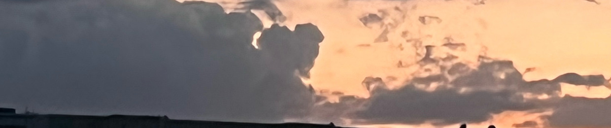 𝑌_𝑁𝑒_𝑇